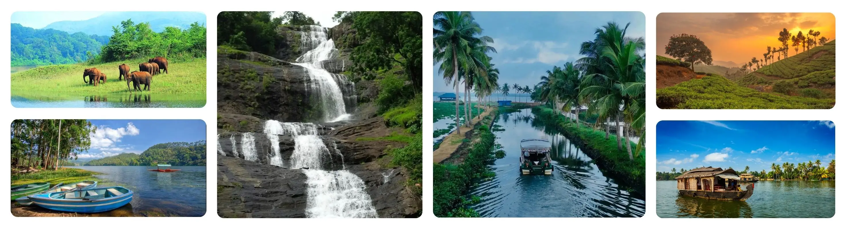 Kerala Wilderness Tour Package