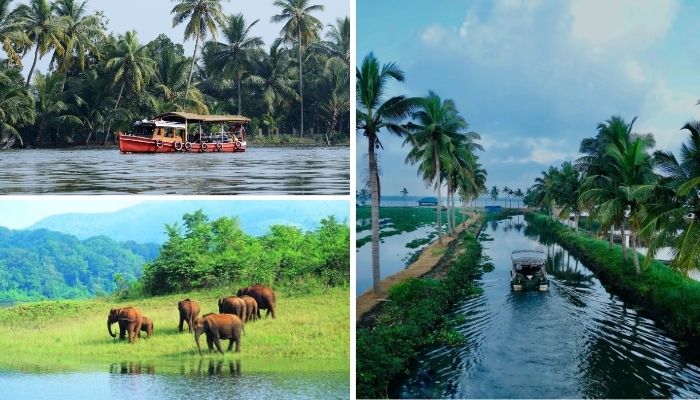 Kerala Wilderness Tour Package